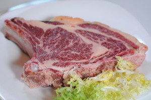 montegurni xuleton